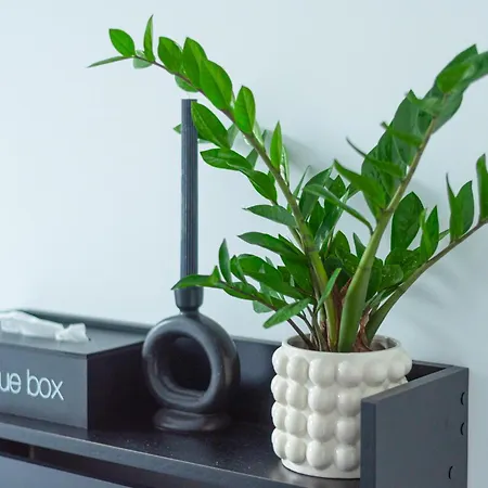 アパート Czysta Modern By Bookinghost ヴロツワフ